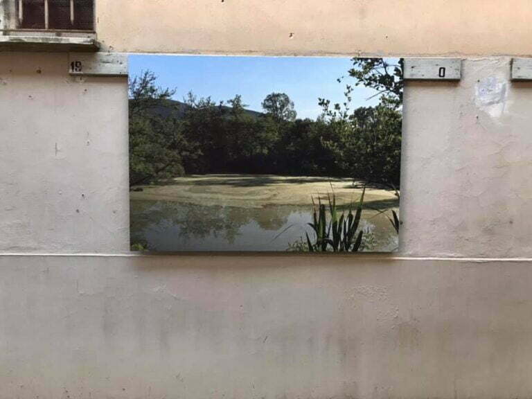 In mostra: Sarzana artificiale naturale